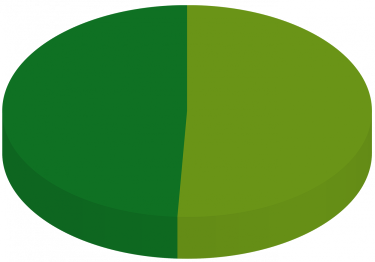 Tortendiagramm zum Produktmix oder Unternehmensverkaufsmix Deutschland 2024